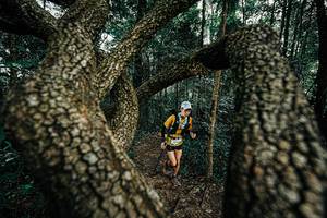 BIB: 
                            <button type="button" onclick="openModal(25392954)" class="btn btn-primary btn-sm float-right btn-popup" data-toggle="modal" data-target=".modal-high-quality">
                        <i class="fas fa-shopping-cart"></i> Add to Cart
                    </button>
                                            <button type="button" onclick="isThisMe(25392954, true)" class="btn btn-success btn-sm float-right btn-popup btn-isme hidden" data-toggle="tooltip" data-placement="bottom" title="นี่คือรูปของคุณใช่ไหม คลิกที่นี่เพื่อเอาเข้าอัลบั้ม">
                        <i class="fas fa-plus"></i> Add to album
                    </button>
                    <button type="button" onclick="isThisMe(25392954, false)" class="btn btn-warning btn-sm float-right btn-popup btn-isnotme hidden">
                        <i class="fas fa-ban"></i> Remove from album
                    </button>